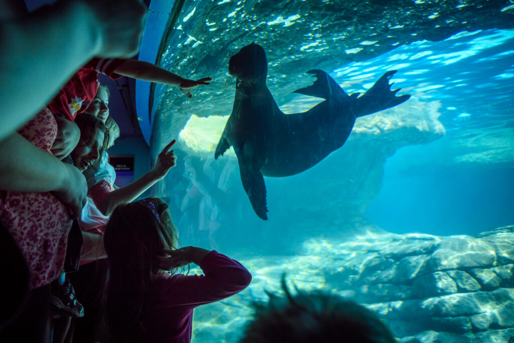 Explore the Wonders of Aquariums in Indianapolis: A Complete Guide